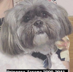 Princess Zerone 2000-2015